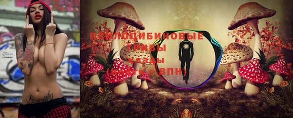экстази Нязепетровск