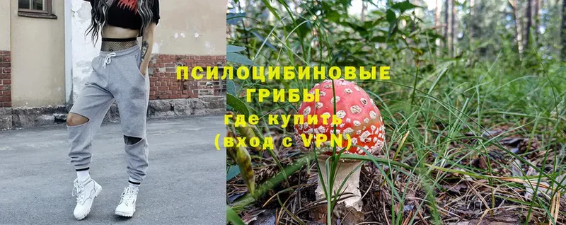 Галлюциногенные грибы MAGIC MUSHROOMS  закладки  Бодайбо 