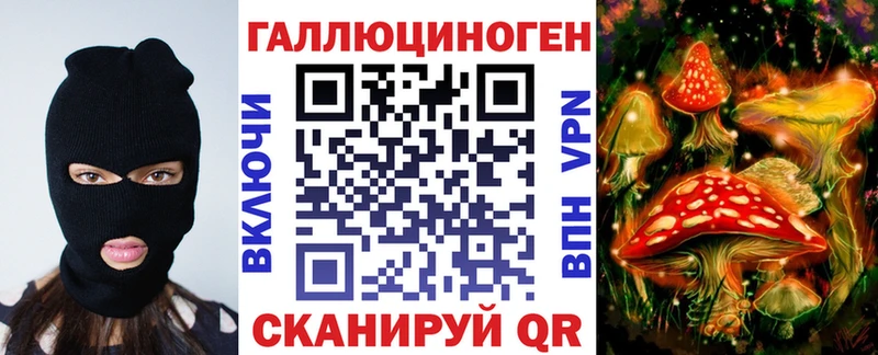 наркота  Бодайбо  Псилоцибиновые грибы прущие грибы 